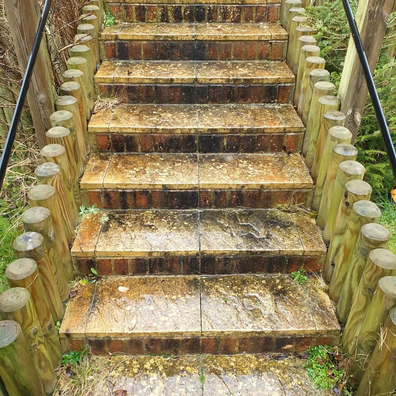 Outdoor stairway before cleaning